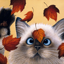 Katze im Herbst Autumn Fancy  33 x 33 cm